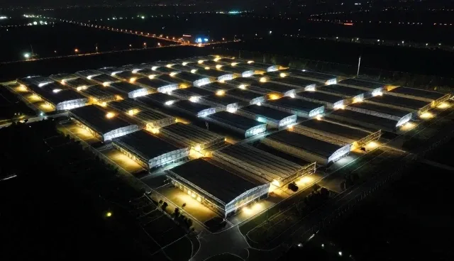 支持产品品质对使用效果的影响原因分析
